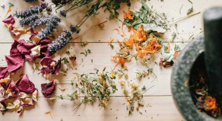 Kanserde Fitoterapi Nedir?