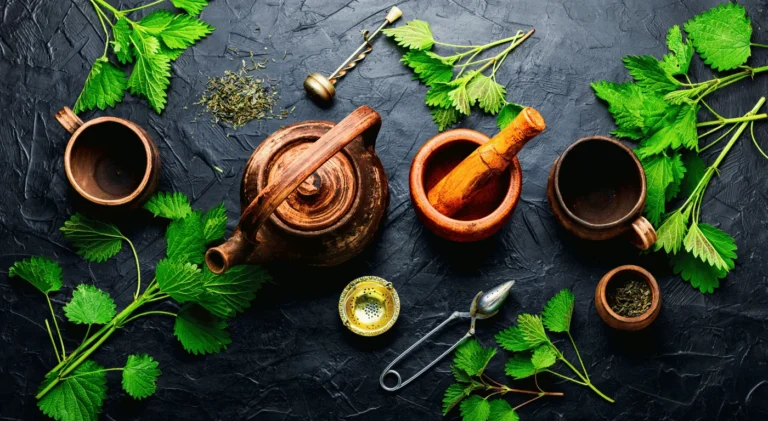 Fitoterapi Bitkileri Nelerdir?