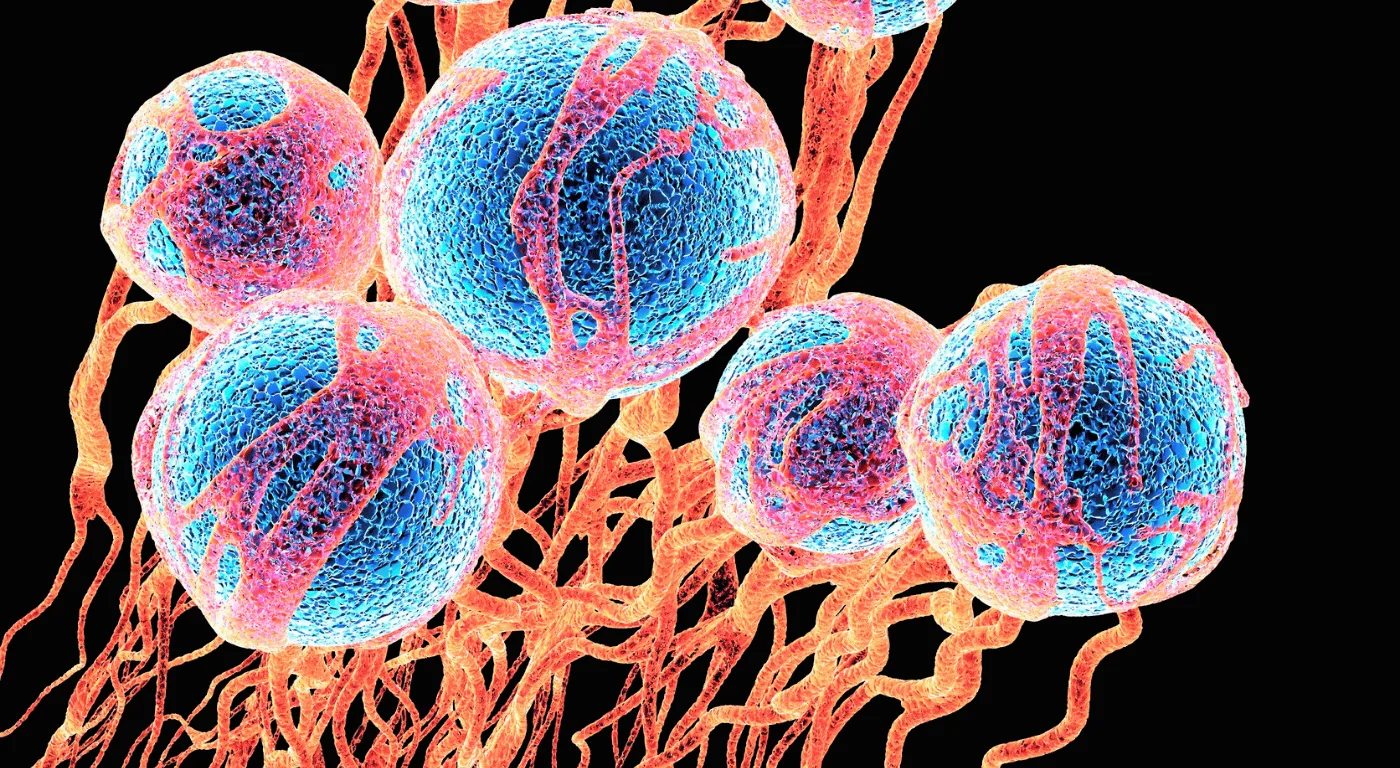 Kanser Türleri Neler? En Ölümcül ve En Zararsızlar