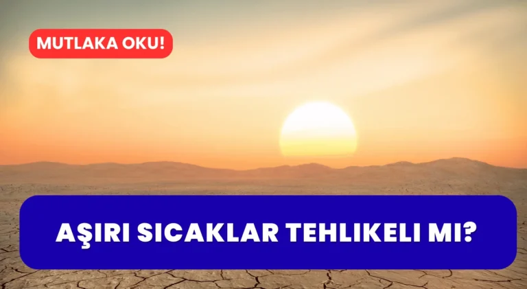 Aşırı Sıcaklar Tehlikeli mi?